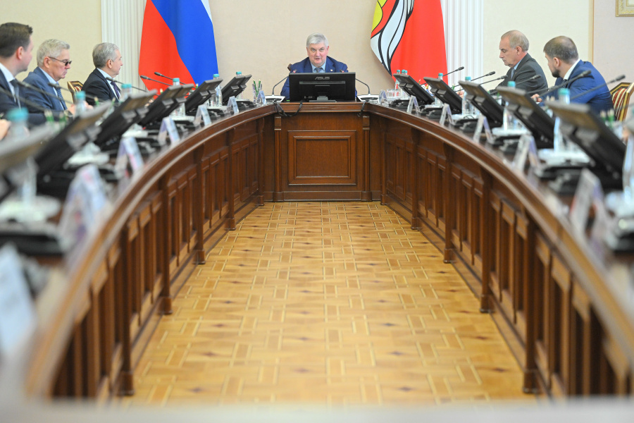 Уполномоченный выступил на заседании Правительства Воронежской области 